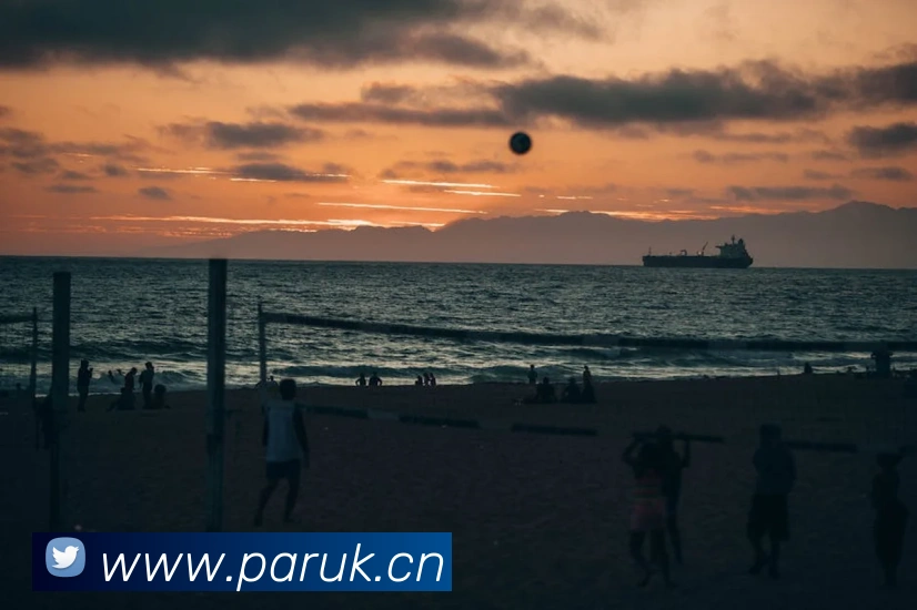 leyu乐鱼官方网站登录平台生态图